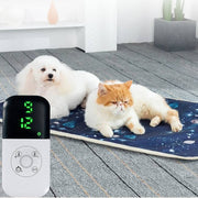 White dog and orange cat lying on an electric heating blanket with digital temperature control display visible nearby